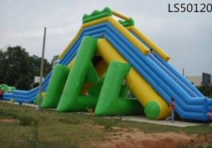 Popular PVC Inflatable Slide for Outdoor Games LS500120