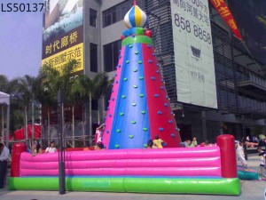 High Quality Inflatable Climbing Inflatable Slide LS50137