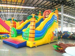 Newest Inflatable Slide for Kids LS50085