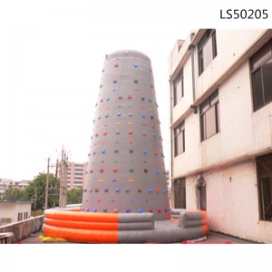 Giant Inflatable Climbing with High Quality LS50205