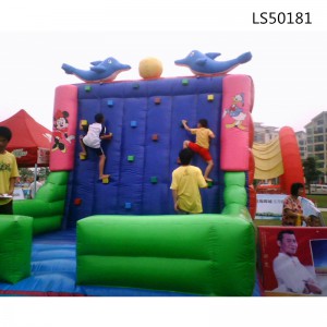 Dolphin Inflatable Climbing for Funny Games LS50181