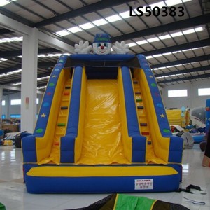 Professional supplier giant inflatable slide, giant inflatable water slide for adult, inflatable jumping slide LS50383