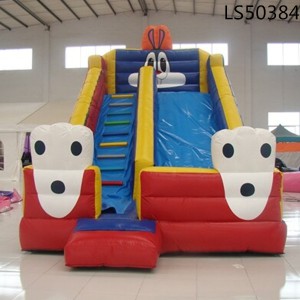 Commercial PVC Vinyl Double Lane Kids Giant Inflatable Slide for Sale LS50384