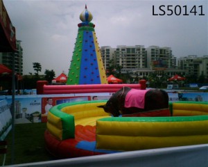 High Quality Inflatable Slide Inflatable Climbing LS50141