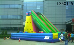 Newest Hot High Quality Inflatable Slide for fun LS50145